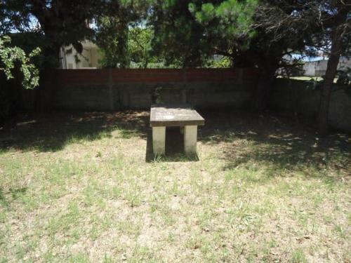 Pinos 1