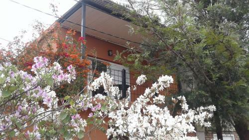 Apartamento Departamento Privado Nuevo