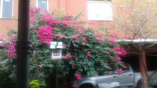 Apartamento Departamento Privado Nuevo