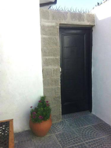 Apartamento Paran� 6047