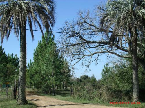 Lodge Los M�danos