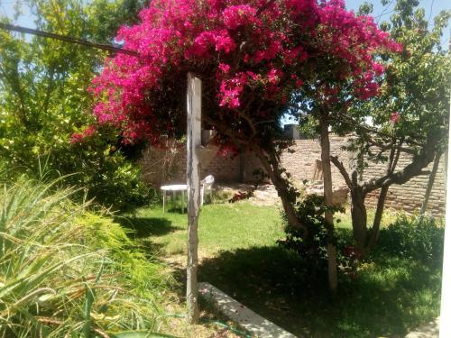 Apartamento Las Nietas De Nilda