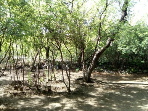 Camping Los Quebrachos
