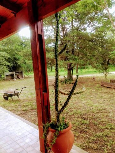 Encantadora Casa Con Pileta En San Marcos Sierras