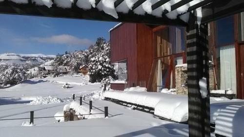 Patagonia Ranch