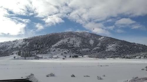 Patagonia Ranch