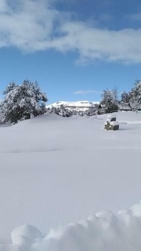 Patagonia Ranch