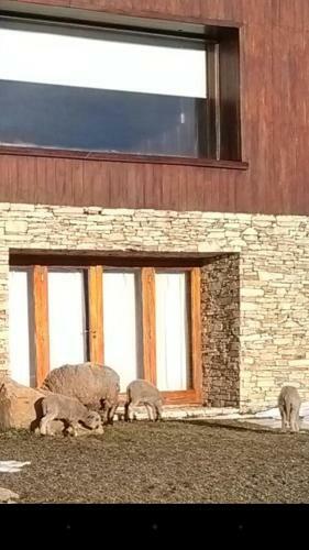 Patagonia Ranch