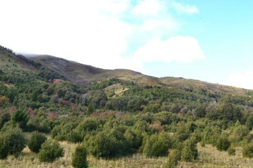 Agroturismo Caba�as Maitenes De Lolog