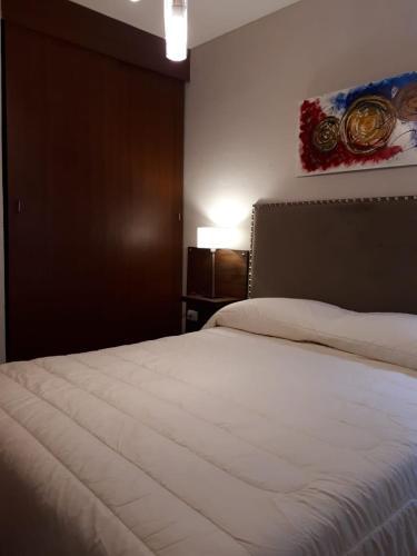 Apartamento Departamento Y Cochera Calda