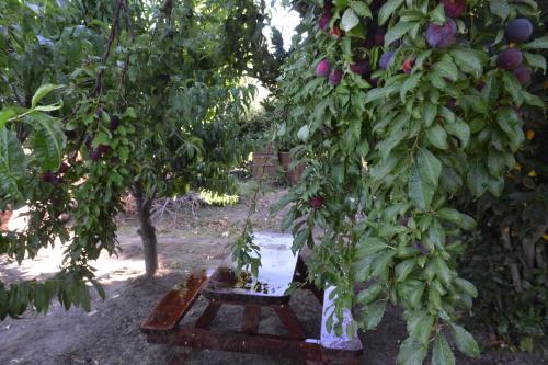 Agroturismo Casita Rural Los Abuelos