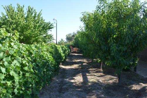 Agroturismo Casita Rural Los Abuelos