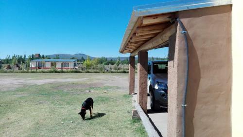 Lodge Caba�a Anfuso