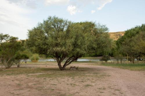Lodge Indias Del Valle