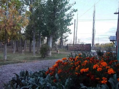 Lodge Caba�as Del Diamante