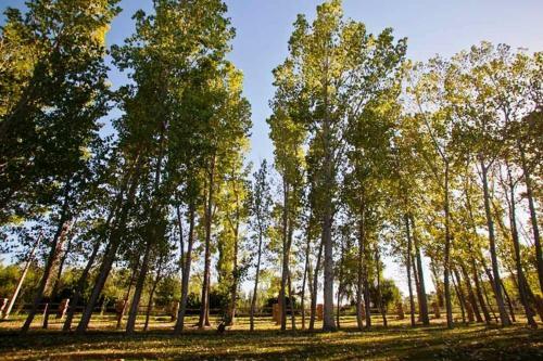 Lodge Caba�as Del Diamante