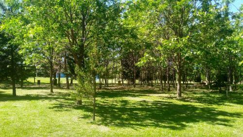 Lodge Caba�as La Horqueta