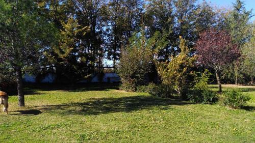 Lodge Caba�as La Horqueta