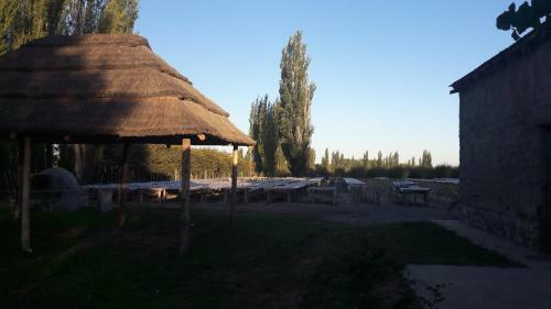 Finca La Lila