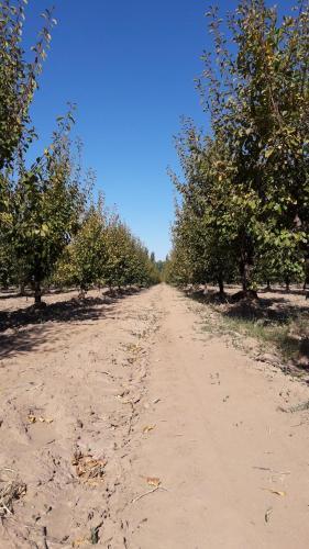 Finca La Lila