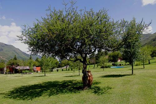 Apartamento El Caser�o