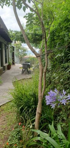 Hostal Los Tarcos Guest House