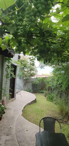 Hostal Los Tarcos Guest House