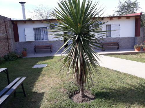 Apartamento Departamentos Palmeras