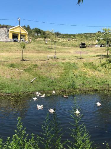 Lodge El Zuriaco