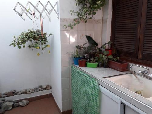Apartamento Complejo Ferreyra