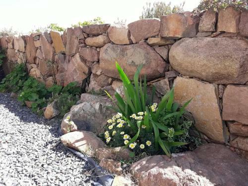 Lodge Caba�a El Quijote