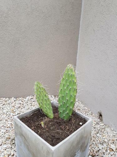 Apartamento Tandilindo