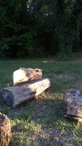 Rancho Apar T -