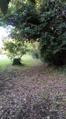 Rancho Apar T -