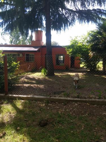 Apartamento Quinta �ancai