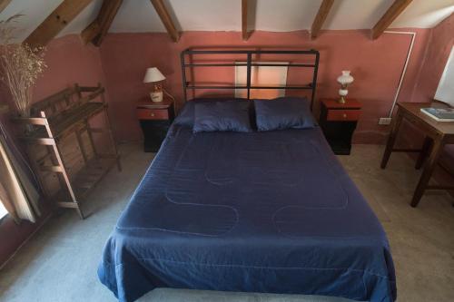 Casa Viaut