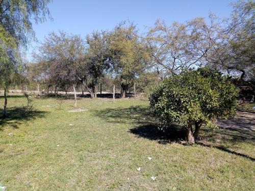 Agroturismo Cabanas El Arbol