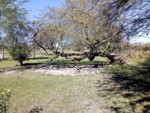 Agroturismo Cabanas El Arbol