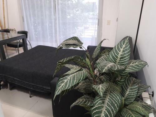 Apartamento Departamento En Tigre