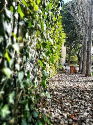 La Marea B&B