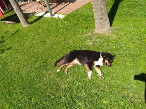 Casa De Vacaciones Dique Lujan