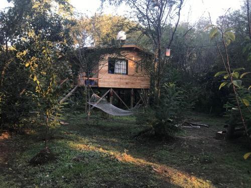 Bed & Breakfast Los Little Monkeys