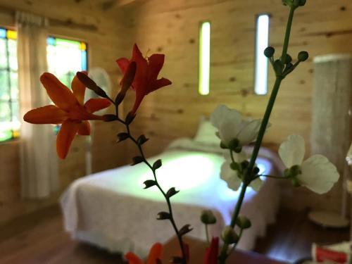 Bed & Breakfast Los Little Monkeys