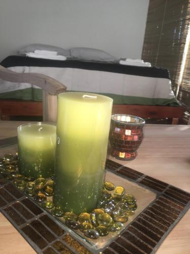 Hotel La Delfina Island Resort