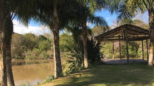 Hotel La Delfina Island Resort