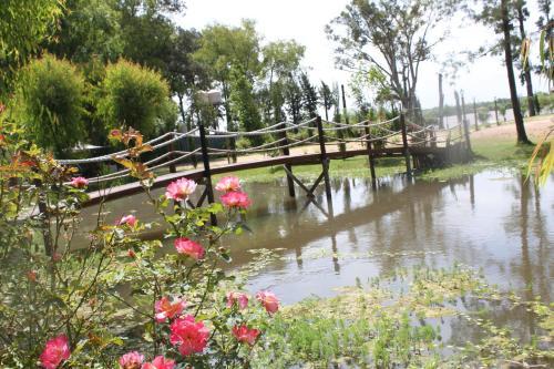 Lodge Pinares
