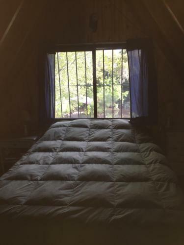 Lodge Caba�a En El Arroyo Pajarito
