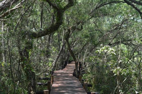 Lodge Bajos Del Paran�