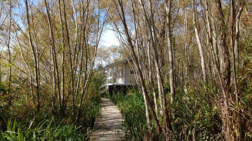 Lodge Bajos Del Paran�