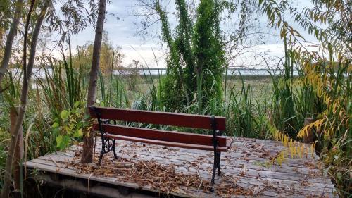 Lodge Bajos Del Paran�